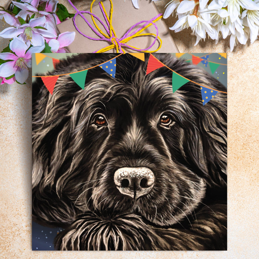 birthday card newfoundland