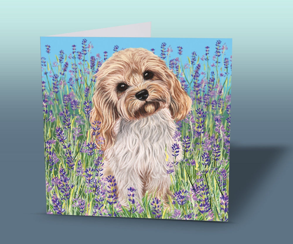 cavapoo greeting card