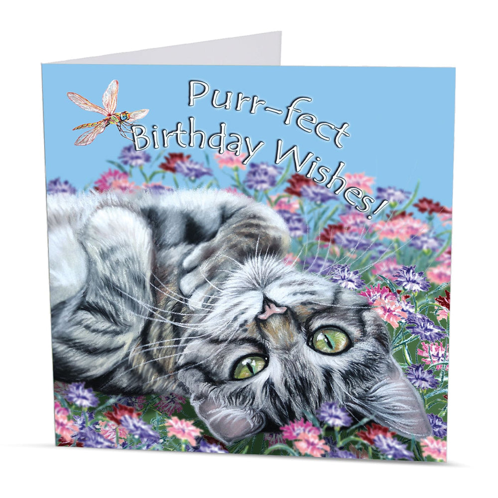 cute kitten birthday card