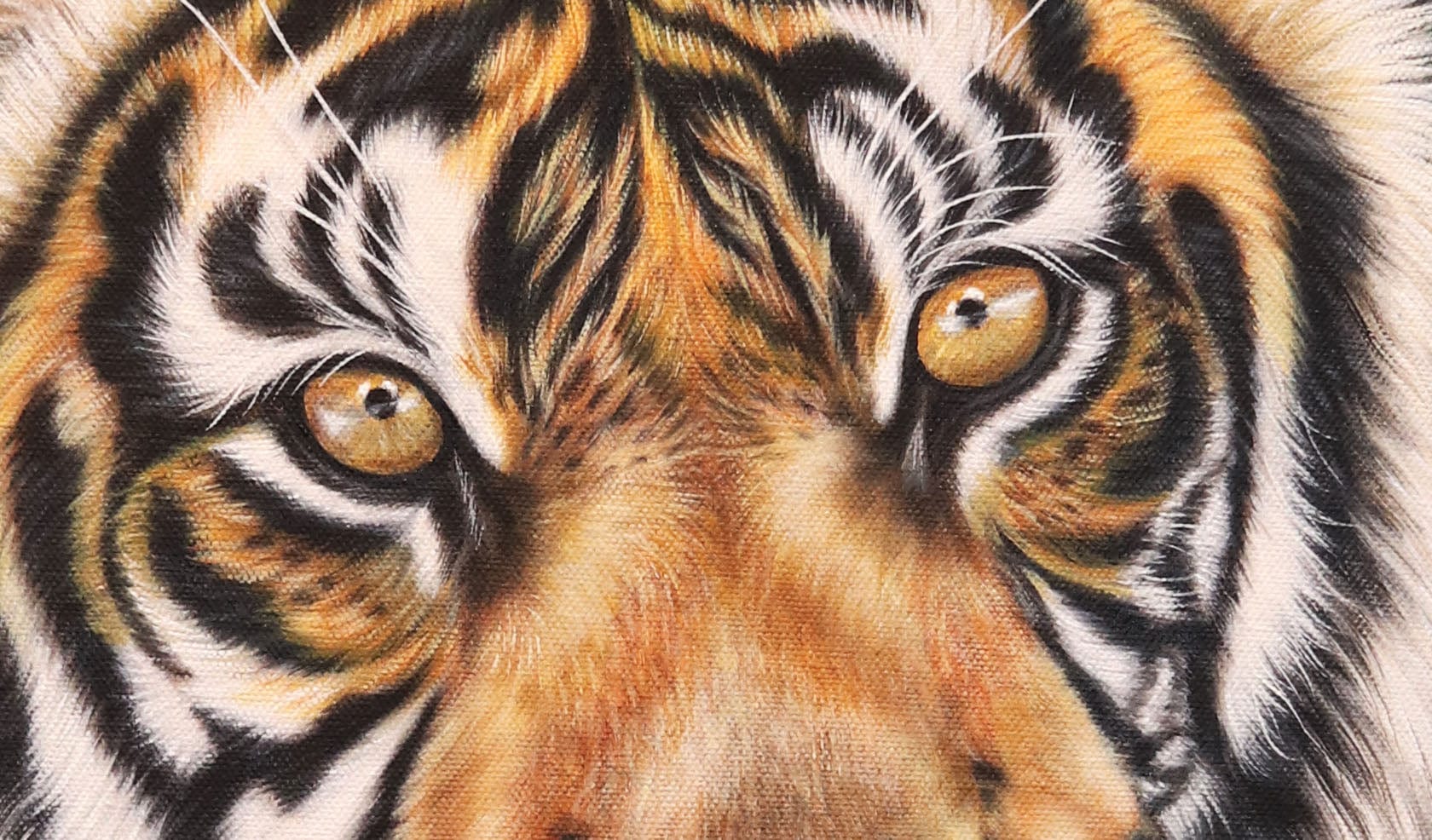 Original Oil Painting for Sale - Tiger - 'Eyes of the Wild'