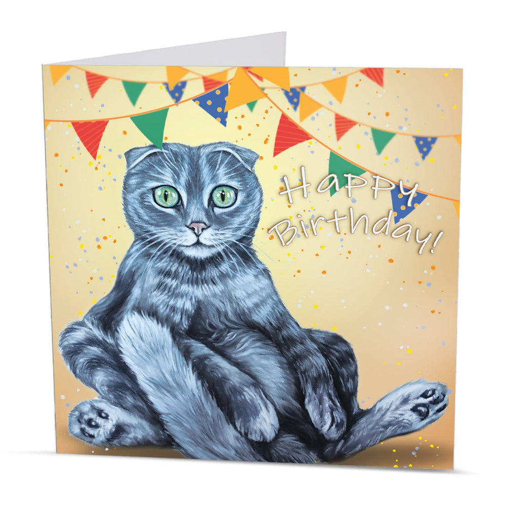 scottish fold funny birthday card
