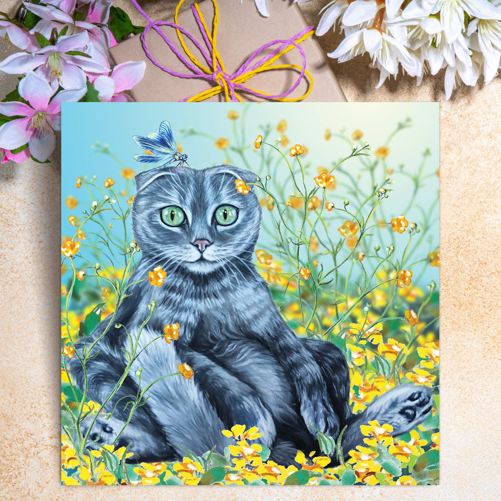 scottish fold funny card