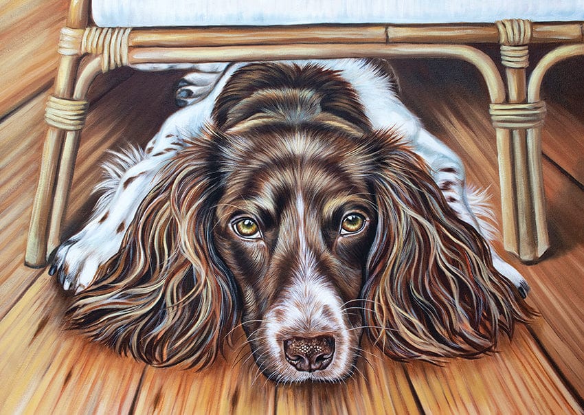 Oil painting of a Springer Spaniel