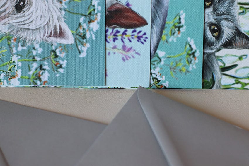 Dog Greeting Card - Black and White Border Collie