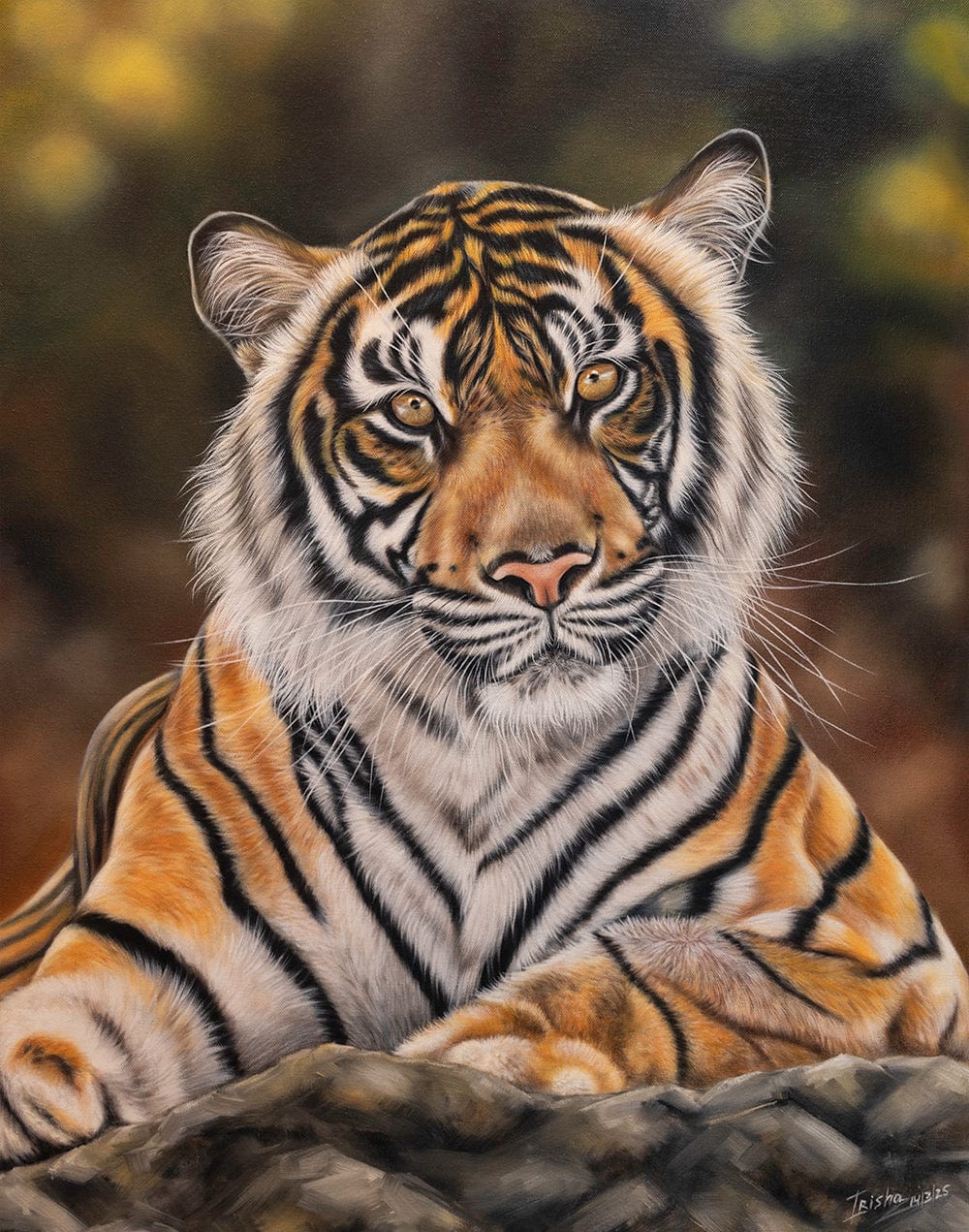tiger artwork