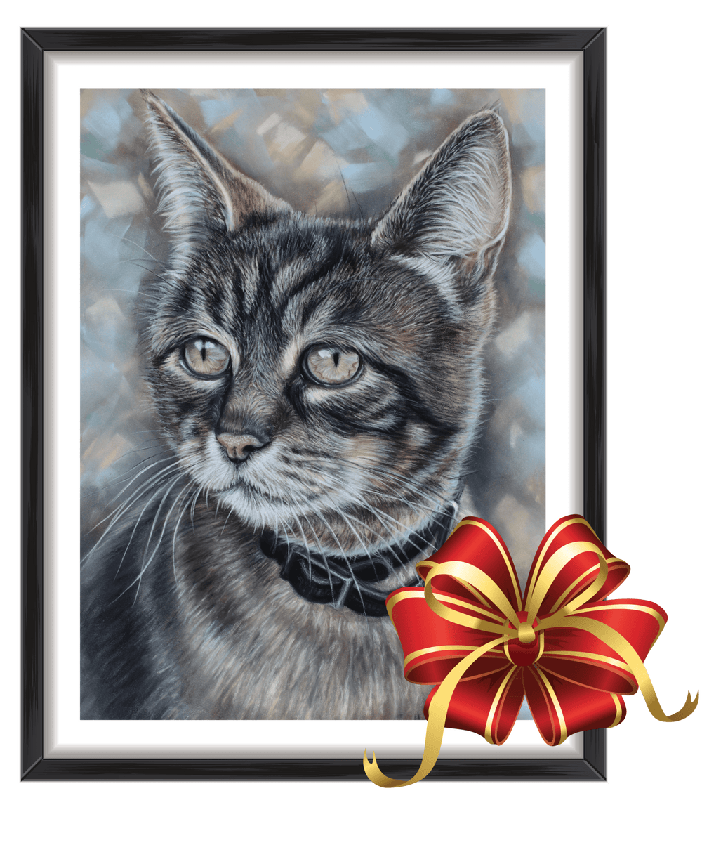 cat portrait gift voucher