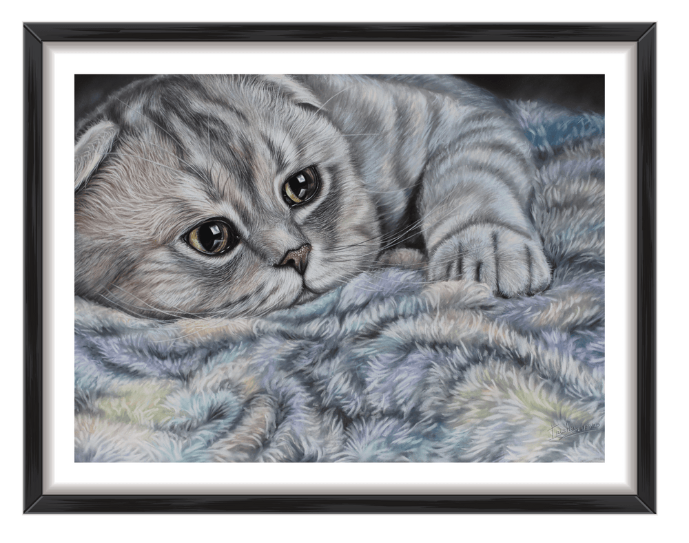 beautiful cat portraits uk