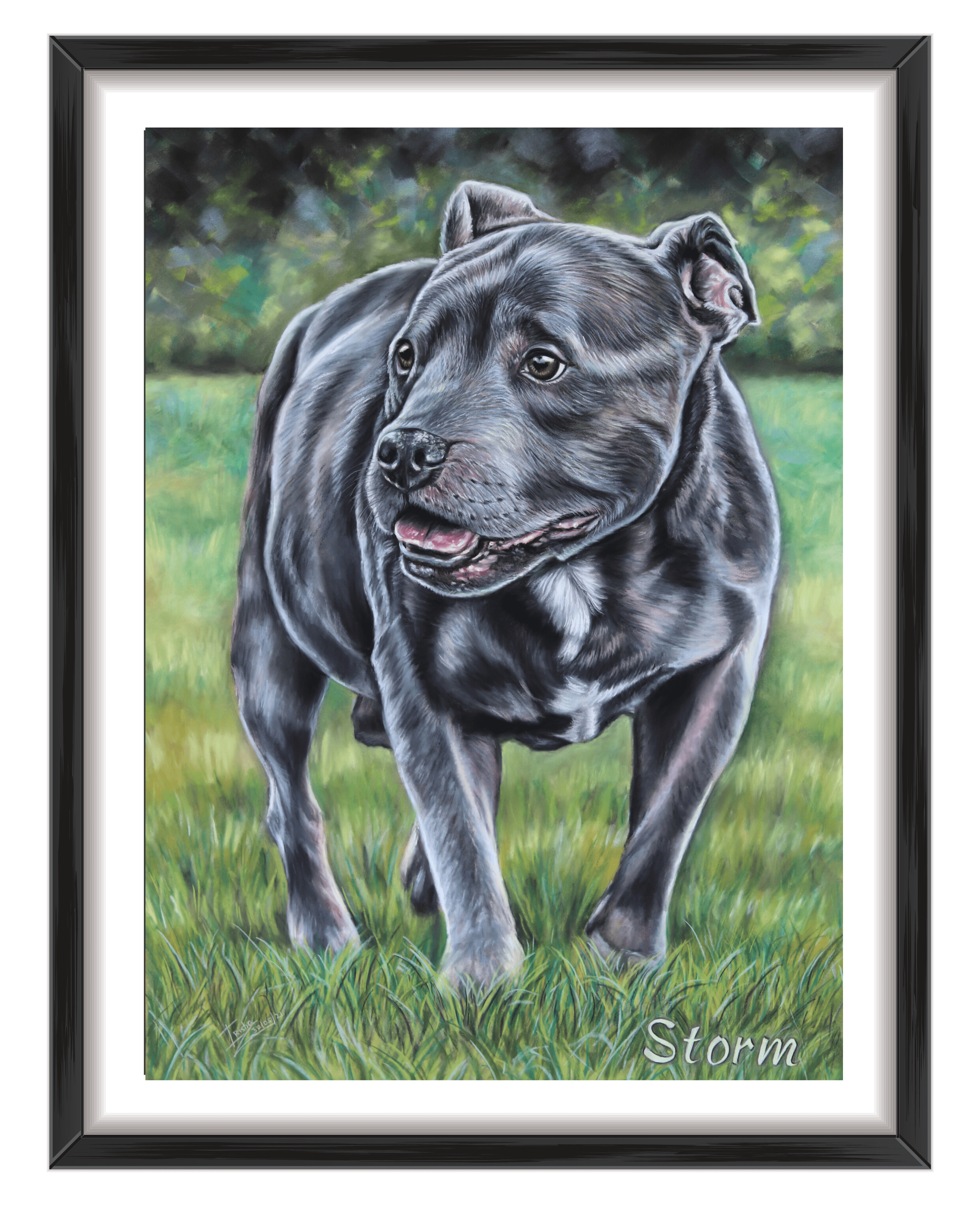 custom dog portrait of Staffy by professional pet artist Irisha