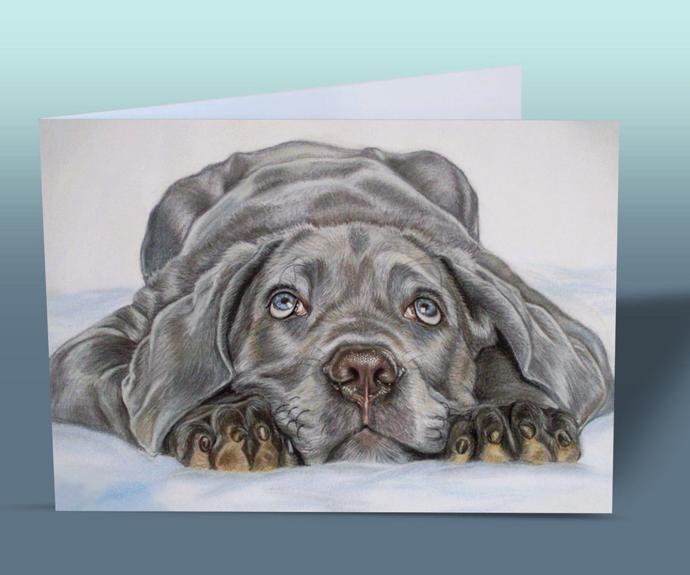 puppy card featuring Italian Mastiff Cane Corso