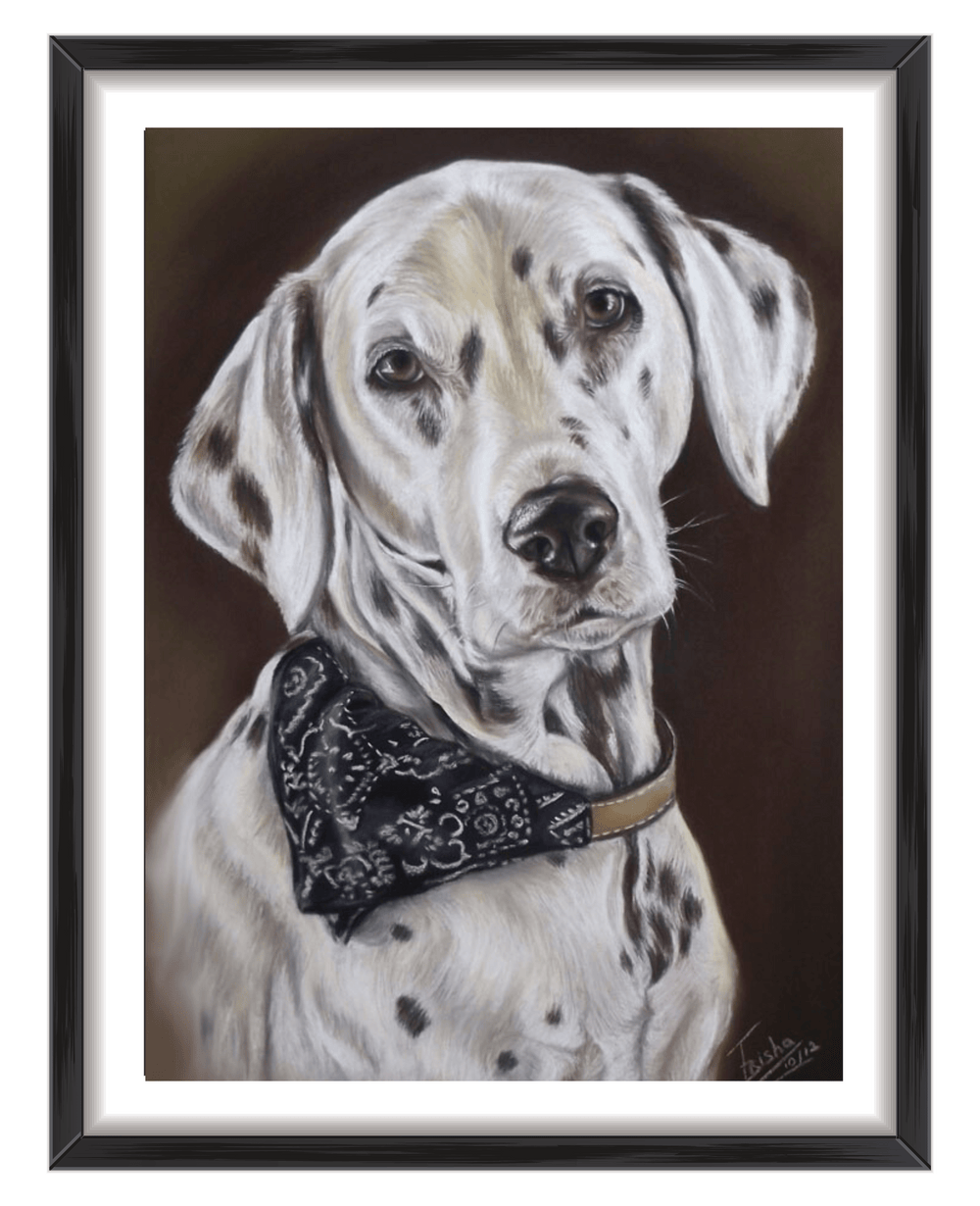 Dalmatian dog portrait commission