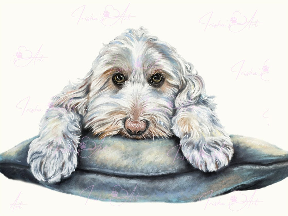 labradoodle digital download