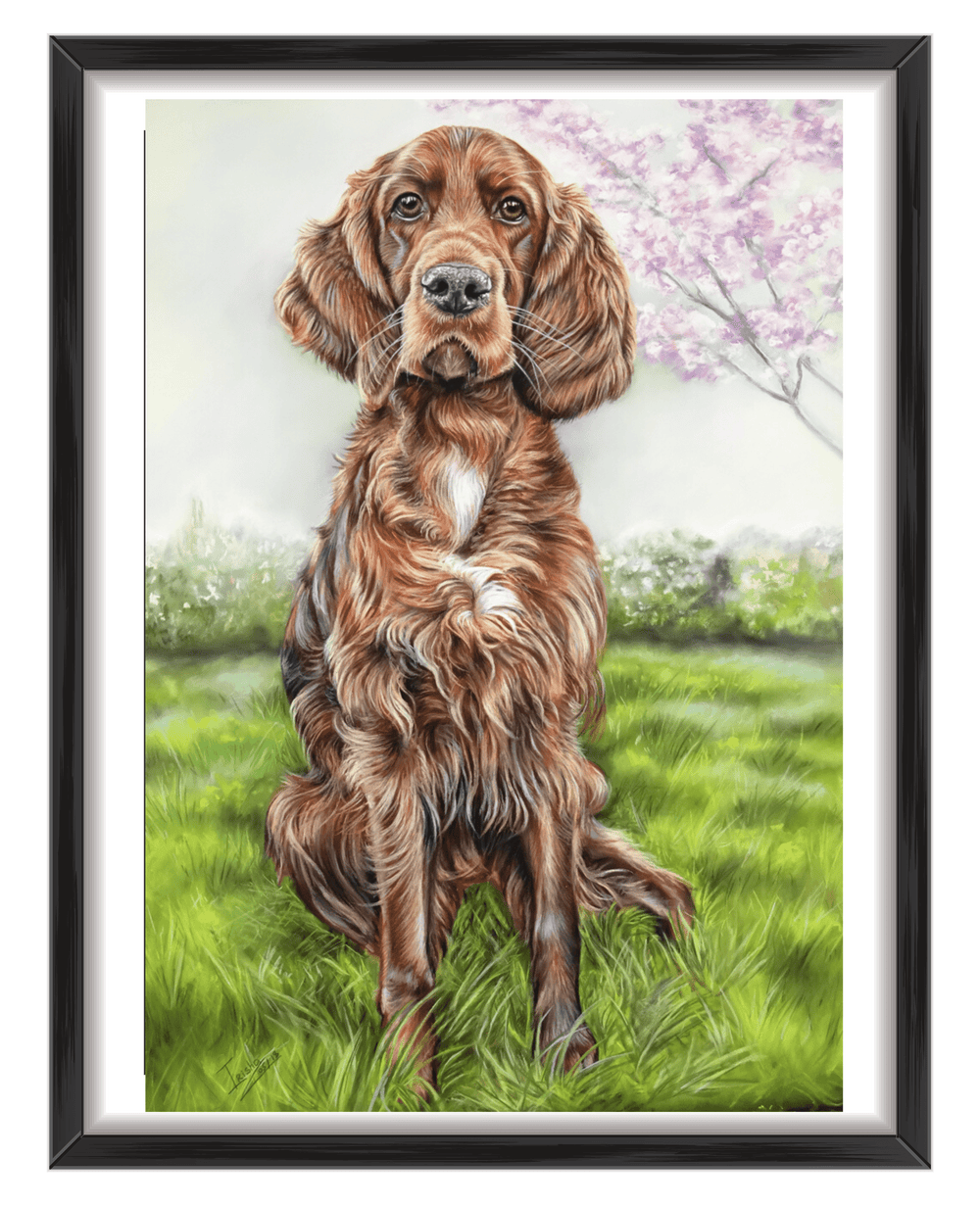custom portrait of a red Setter by Irisha