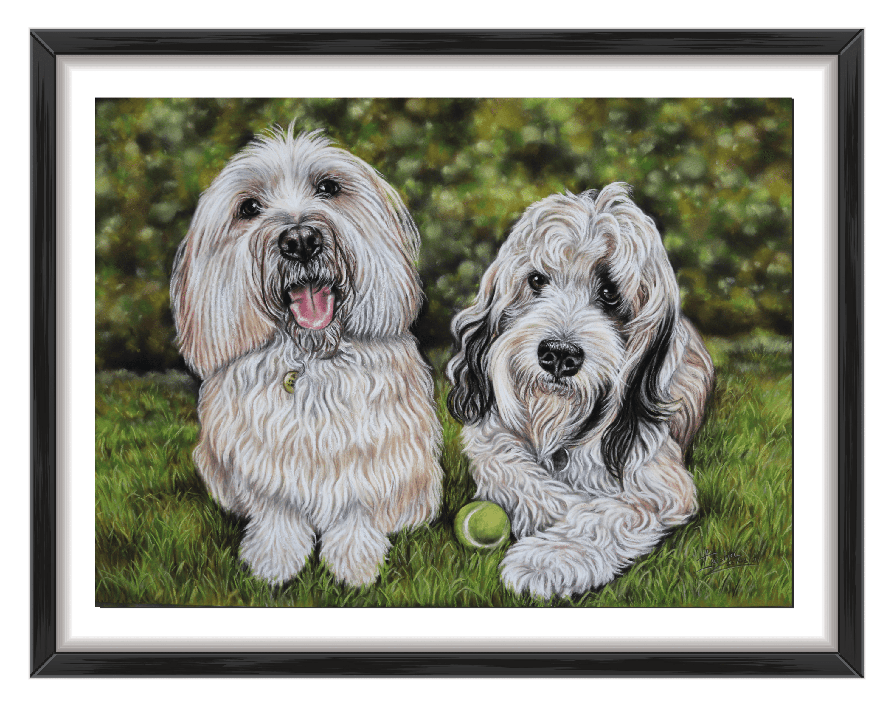 dog portraits of tibetan terrier uk