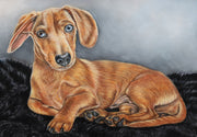 Peggy the Dachshund – A Custom Dog Portrait Commission Full of Character and Love