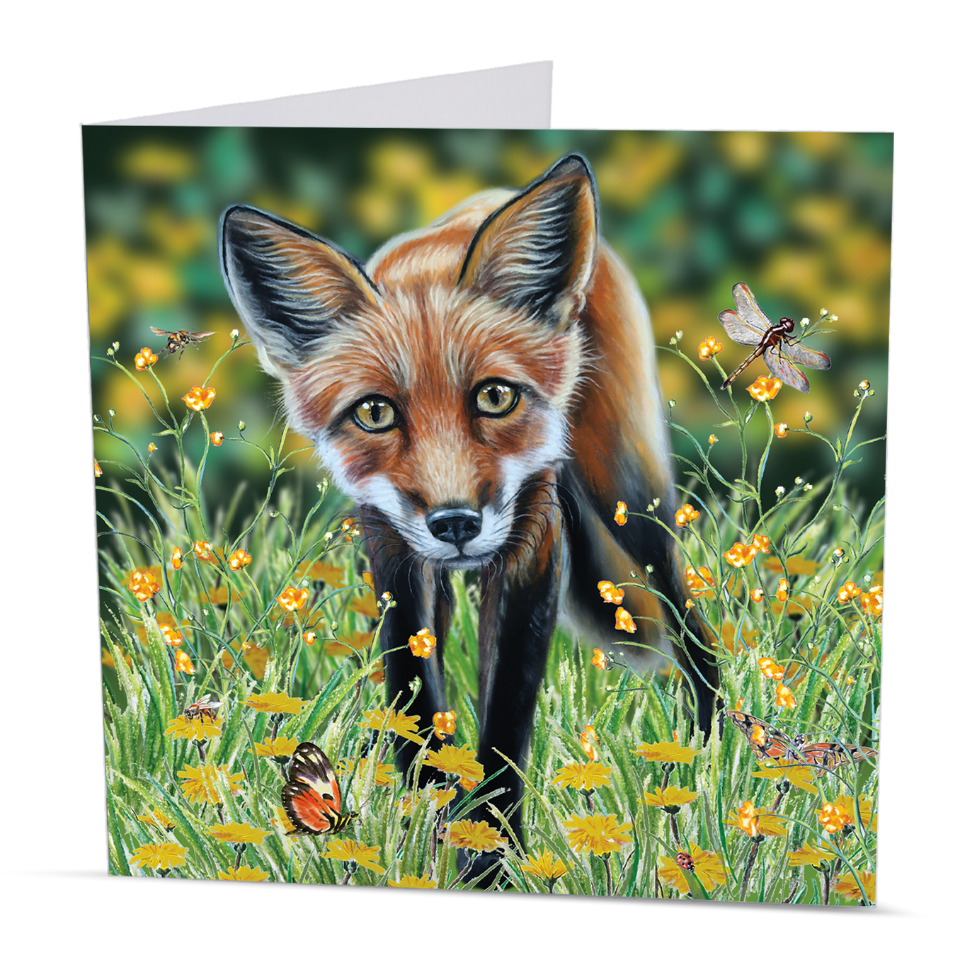 wildlife greeting cards