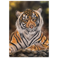 120e2885-bd14-410f-bdaf-08f044c54f60