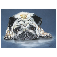 8e197746-6fc4-4f20-a531-40c4cf3388d5