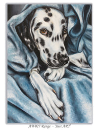 dalmatian greeting card