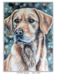 greeting card labrador