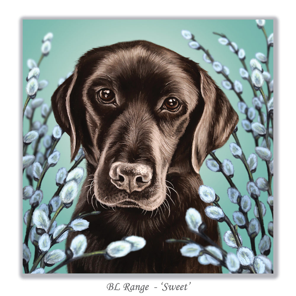 labrador retiriever card