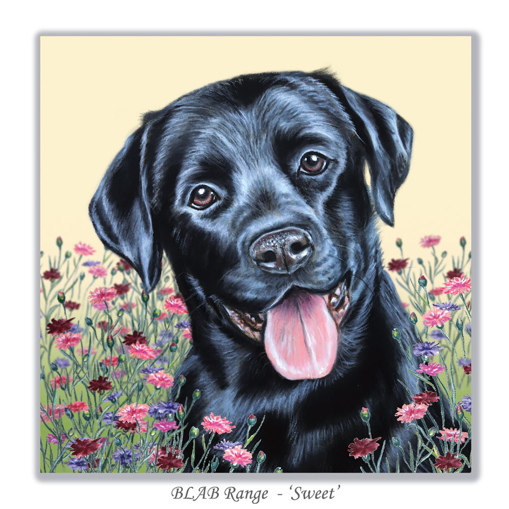 black labrador card