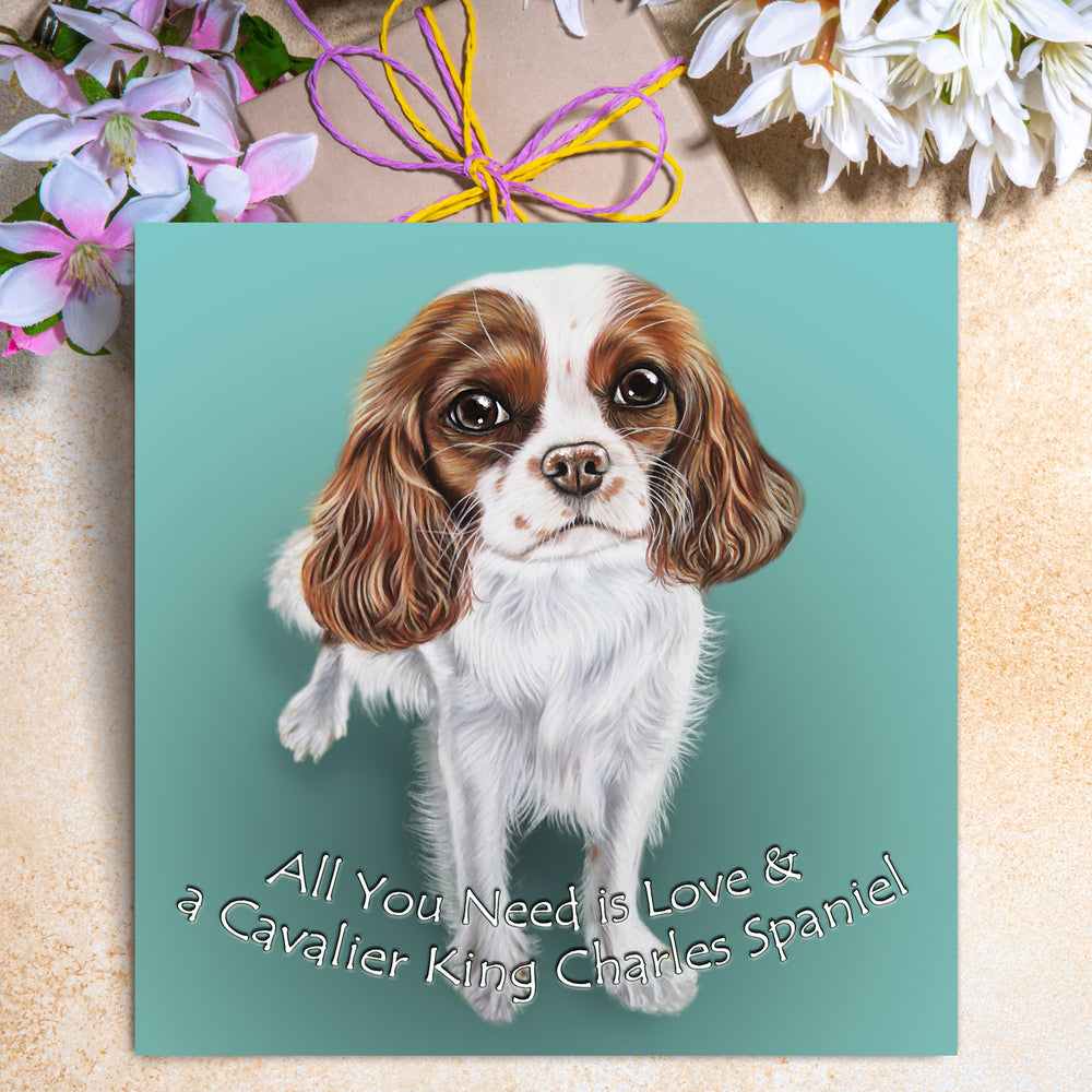 Cavalier spaniel card