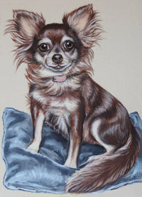 Illustration of a small dog sitting on a blue pillow