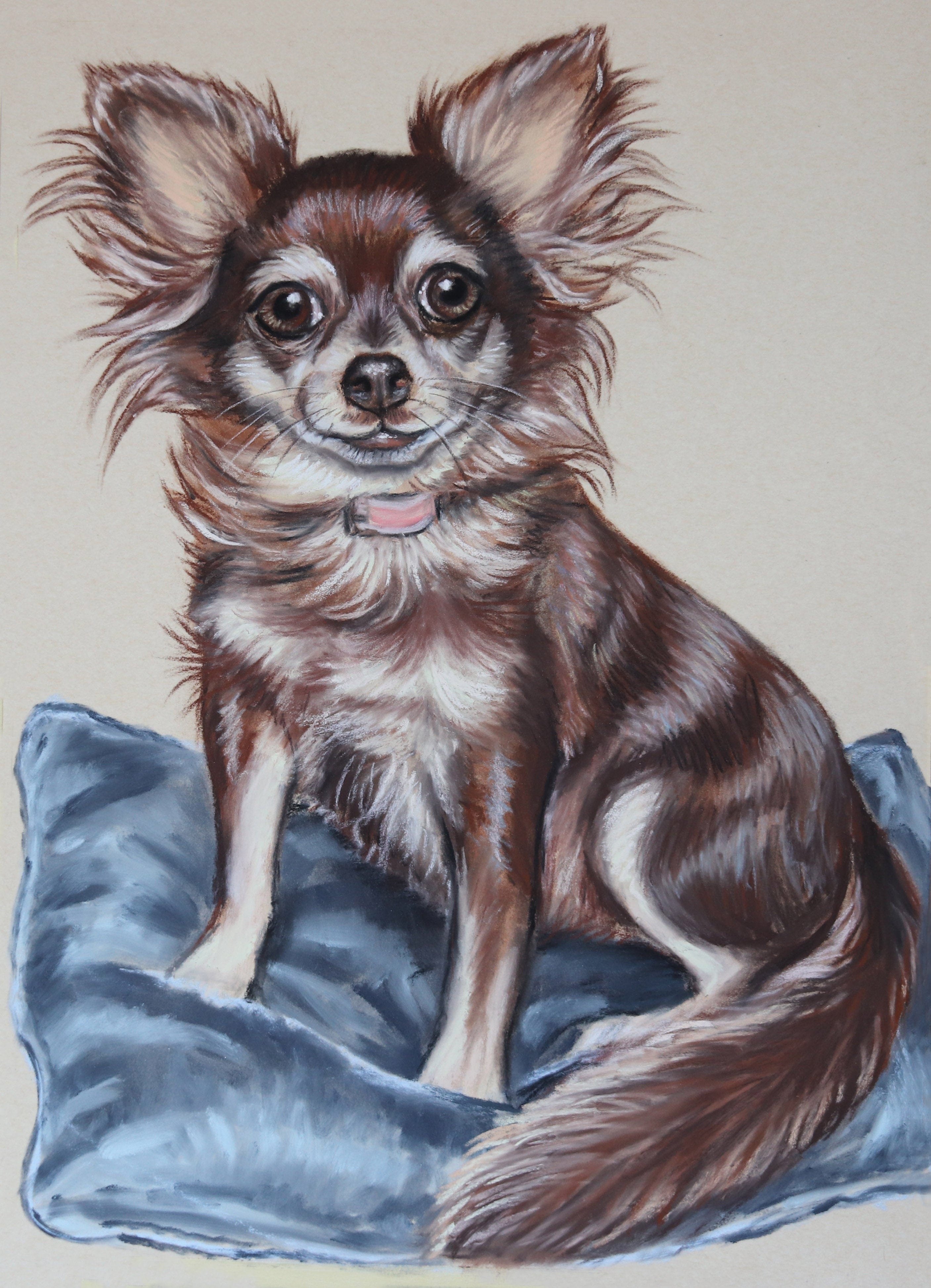 Illustration of a small dog sitting on a blue pillow