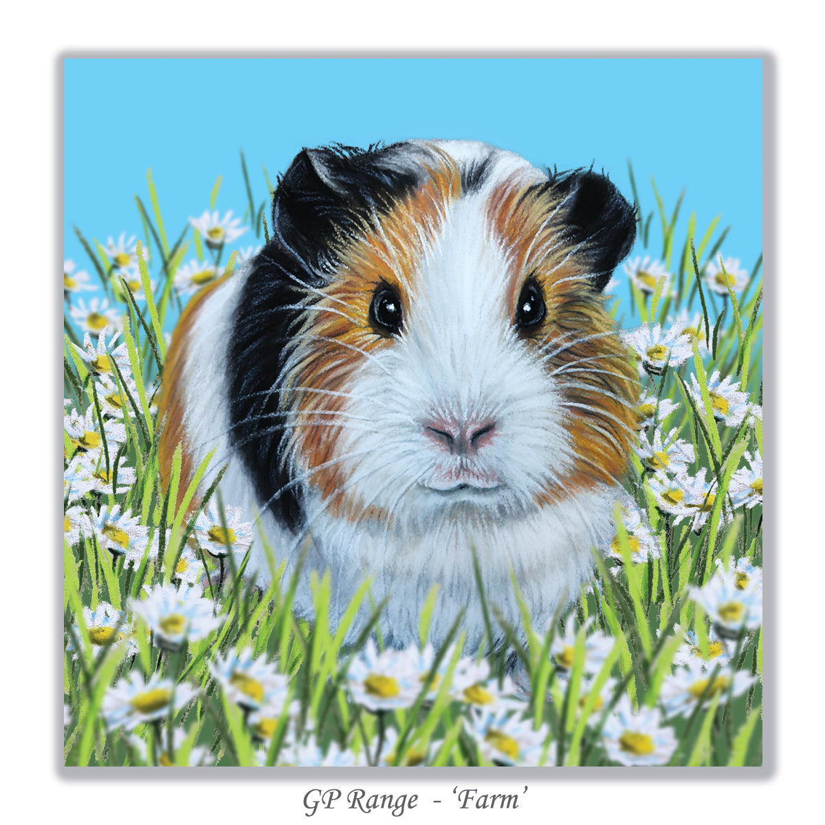 guinea pig gifts