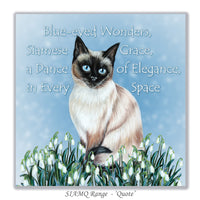 greeting card with siamese cat