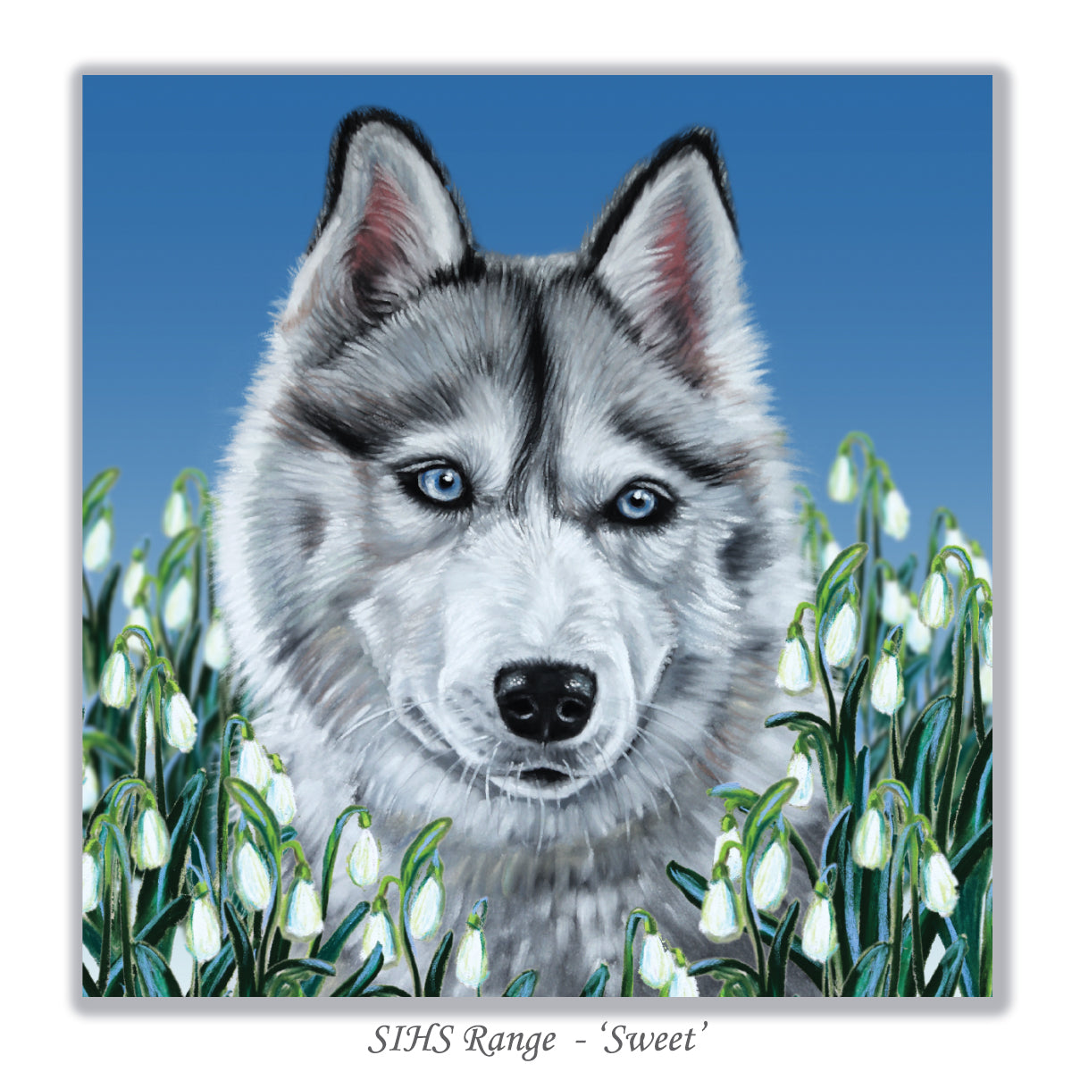 greeting card husky