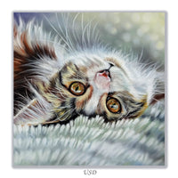 tortoiseshell cat card