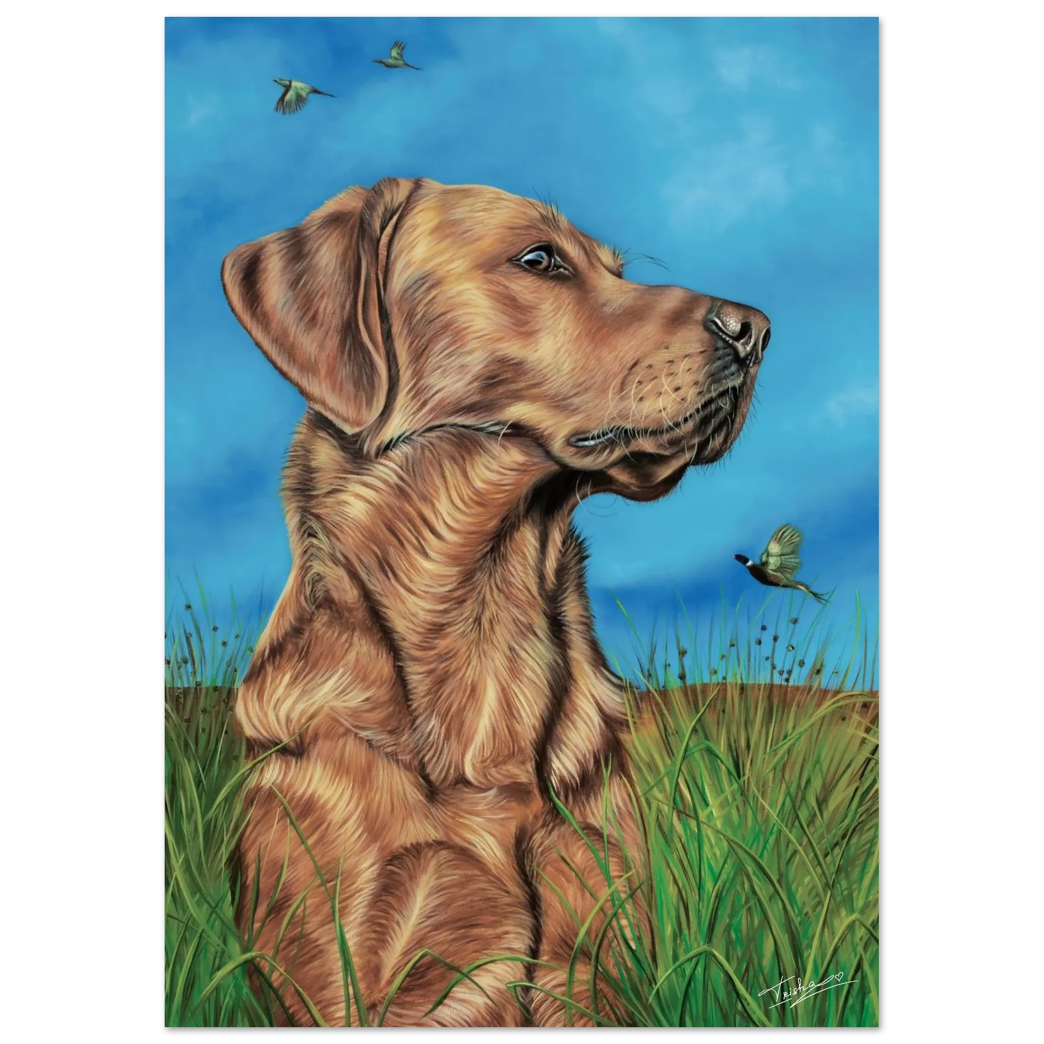 a0c33502-a404-4511-a0a1-5a78d77b0bd9
