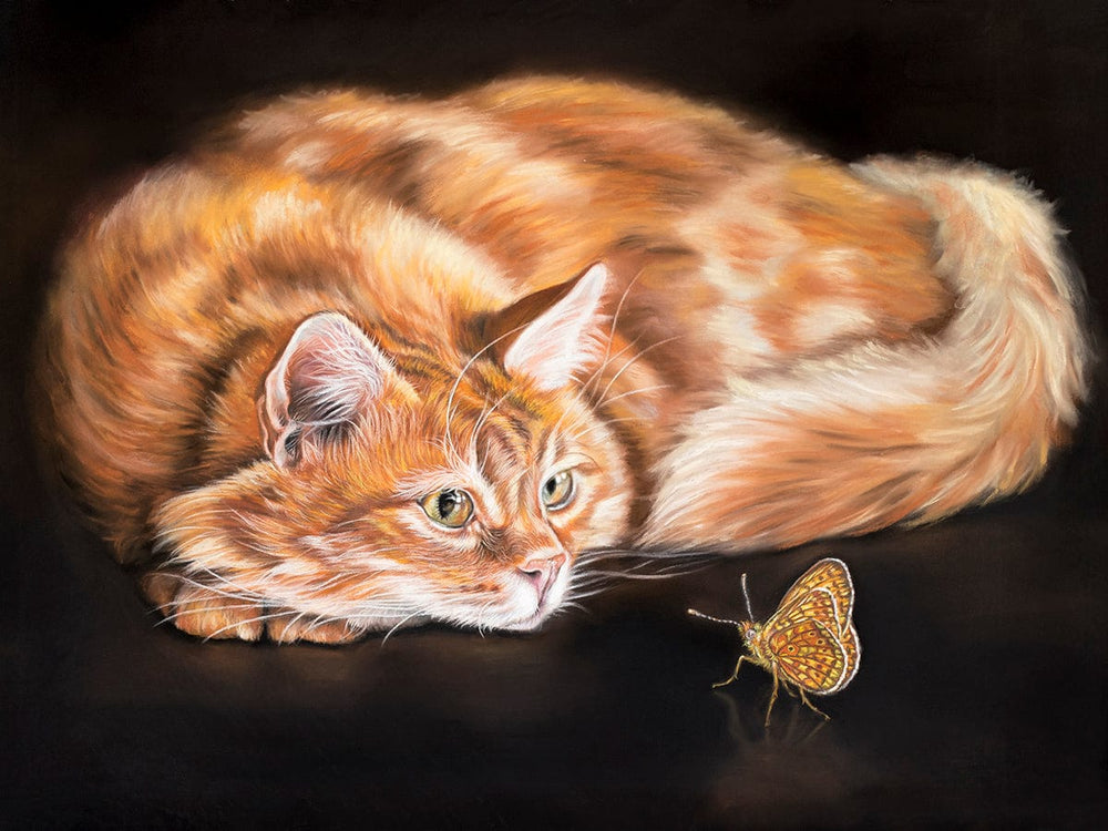 art for sale ginger cat and butterfly
