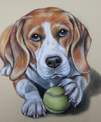 Custom dog portrait holding a tennis ball on a beige background