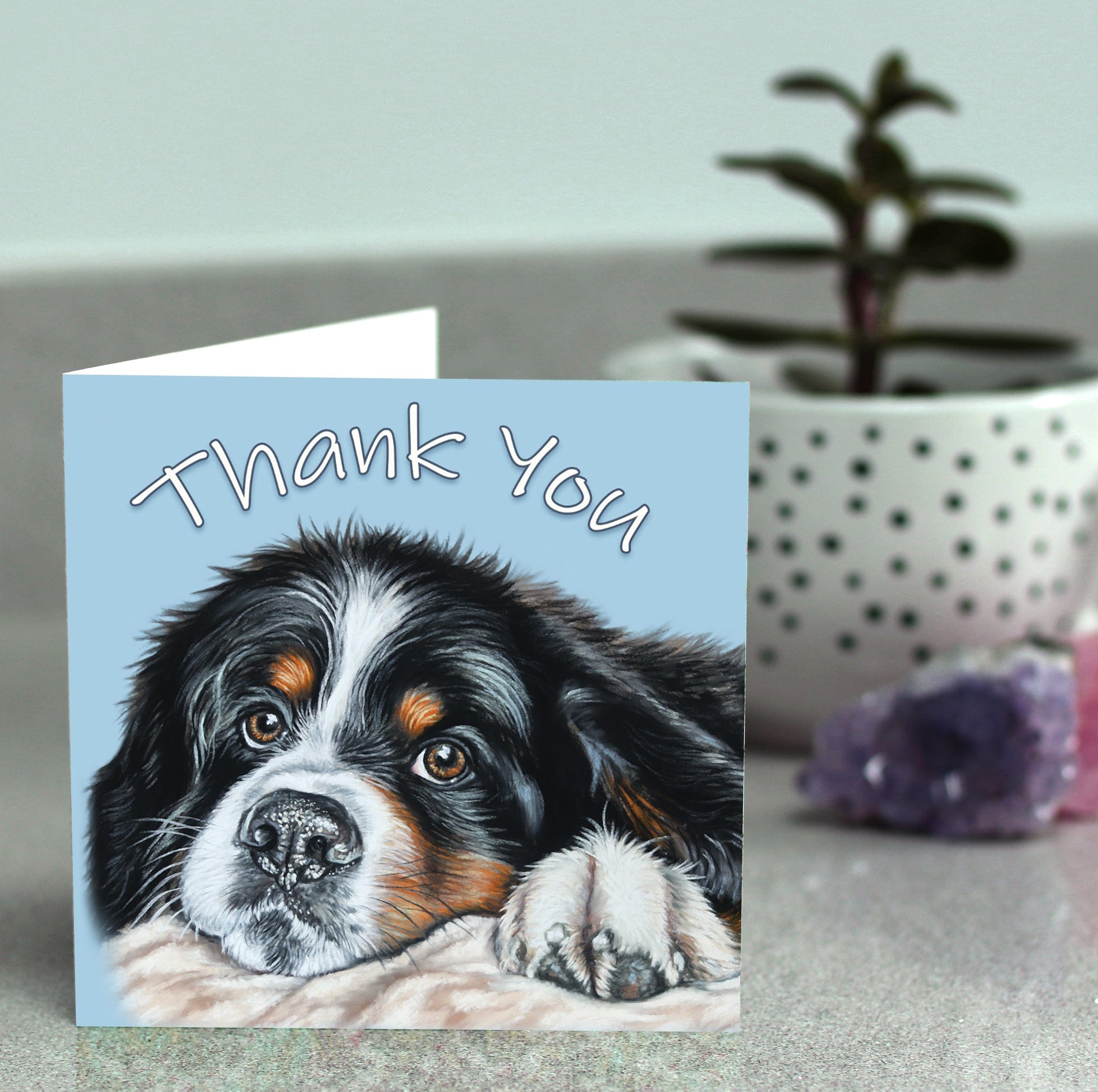 Bernese mountain dog thank you card – gentle dog art design
