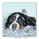 Bernese mountain dog puppy card with butterfly – animal lover gift