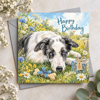 Blue merle Border Collie birthday card featuring a beautiful dog with bright blue eyes lying in a wildflower meadow with Happy Birthday lettering.