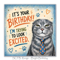 Funny cat birthday card featuring a grumpy grey cat wearing a blue polka dot tie with I'm Trying to Look Excited birthday message.