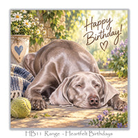 Charming dog birthday greeting card with a sleepy Weimaraner, white daisies, purple flowers, knitted blanket and tennis ball.