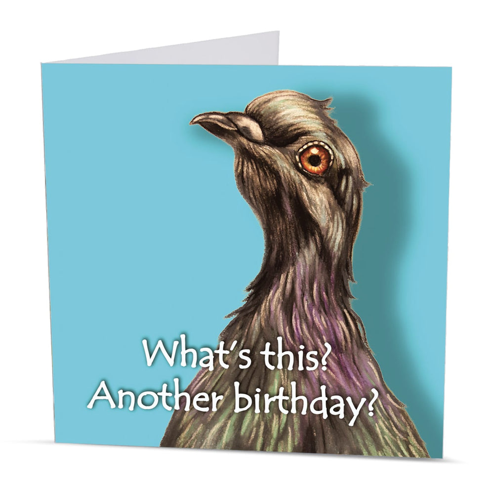 Square pigeon birthday card with original bird artwork by Irisha on a bright blue background.