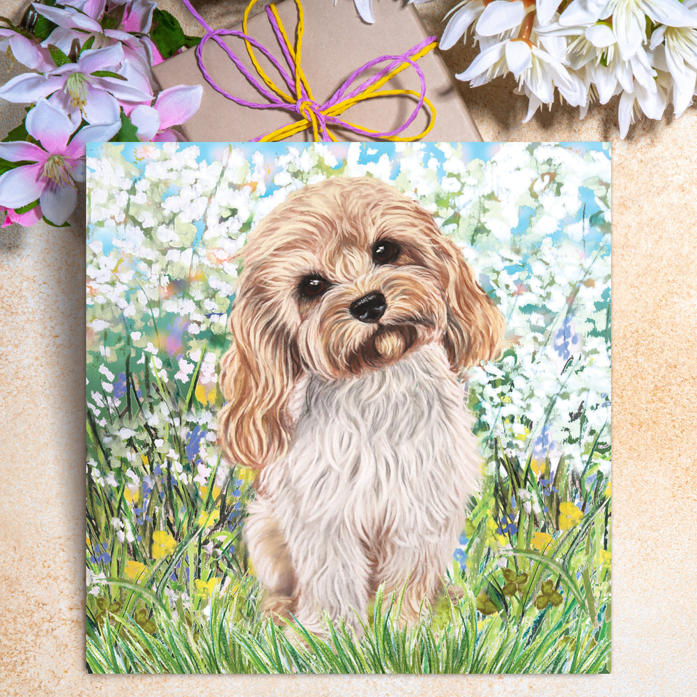 birthday card cavapoo