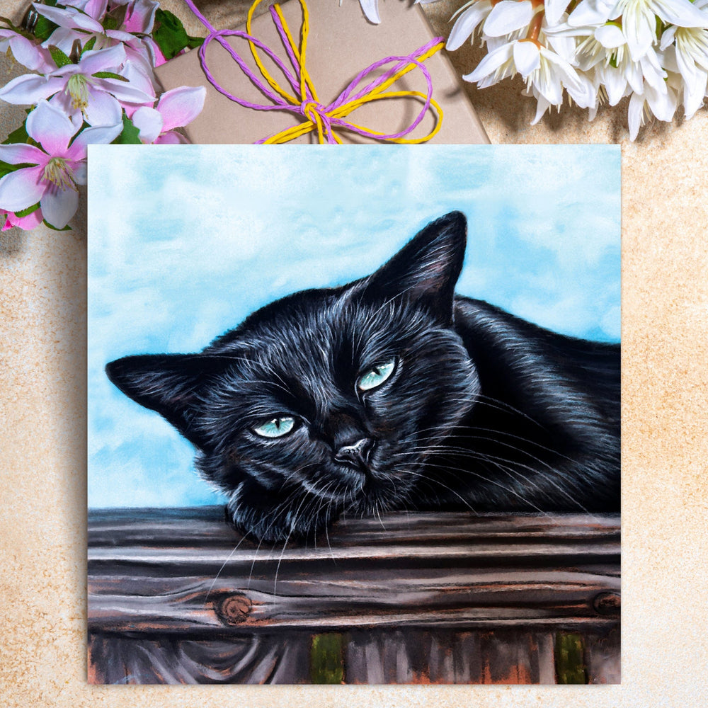 greeting cards with a black cat