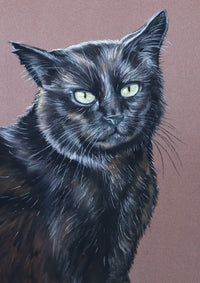 Drawing of a black cat with green eyes on a brown background