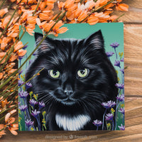 black fluffy cat card