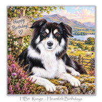 Beautiful dog birthday greeting card with a fluffy Border Collie, colourful wildflowers, stone wall, grazing sheep and scenic countryside lake.
