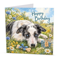Square 15 x 15 cm Border Collie birthday card featuring original blue merle dog artwork by Irisha, printed on premium 350 gsm textured cardstock.