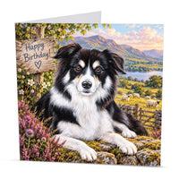 Square 15 x 15 cm Border Collie birthday card featuring original dog artwork by Irisha, printed on premium 350 gsm textured cardstock.