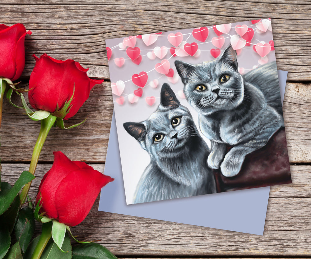 british shorthair valentines day card