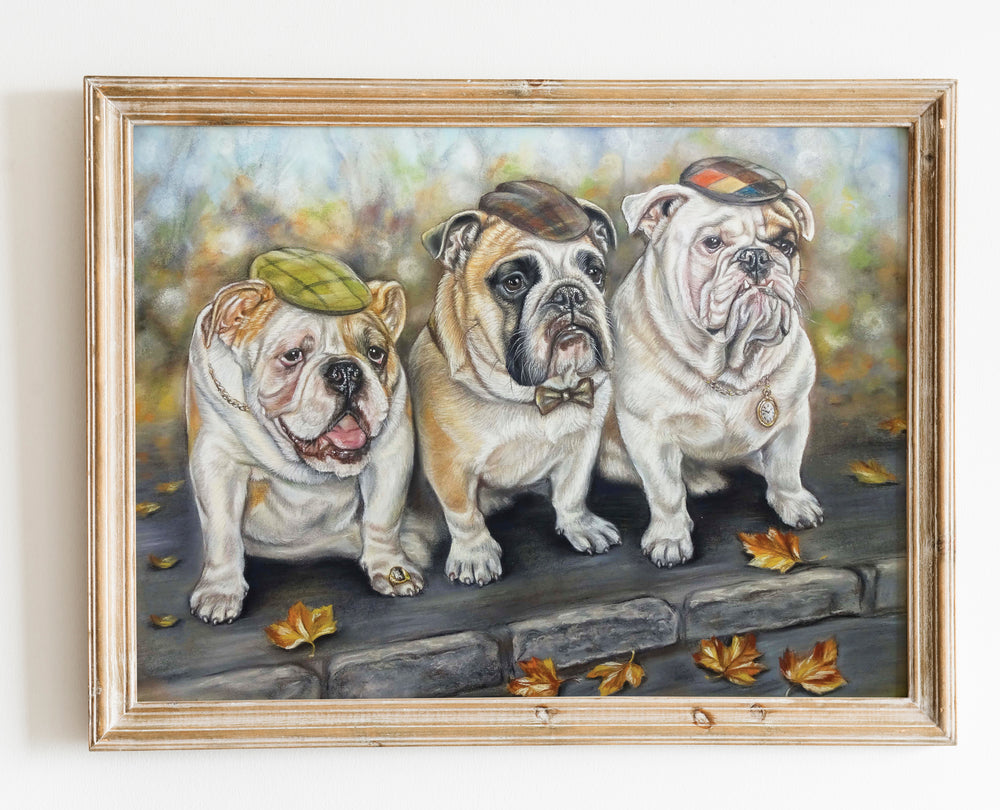 english bulldogs pictur